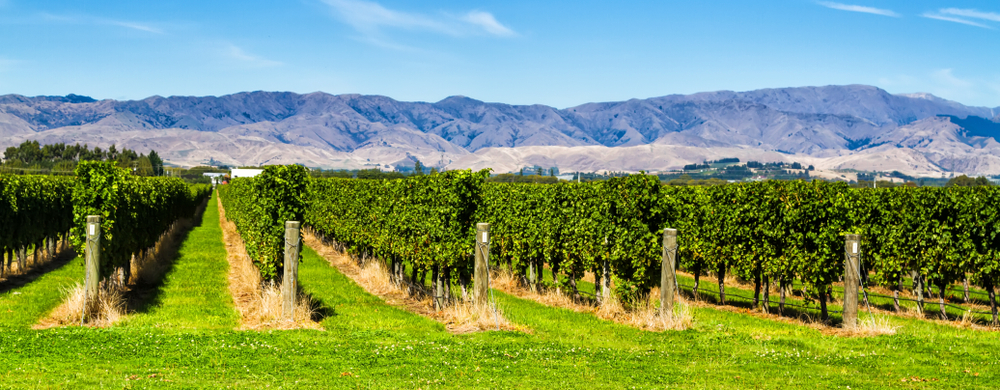 Family Business Central is a world-leading consultancy, advising family businesses throughout Australia and New Zealand.