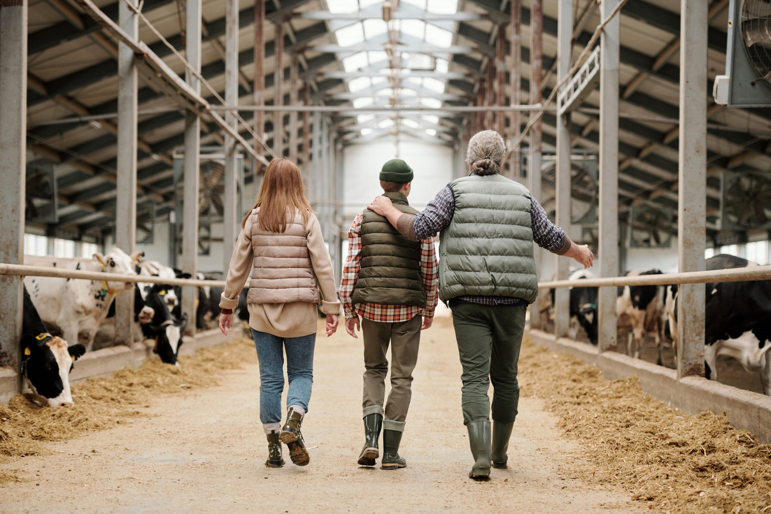 Rear,View,Of,Father,Pointing,At,Cows,And,Sharing,Farm